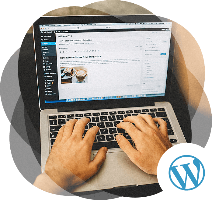 A Step-by-Step Guide to WordPress Development